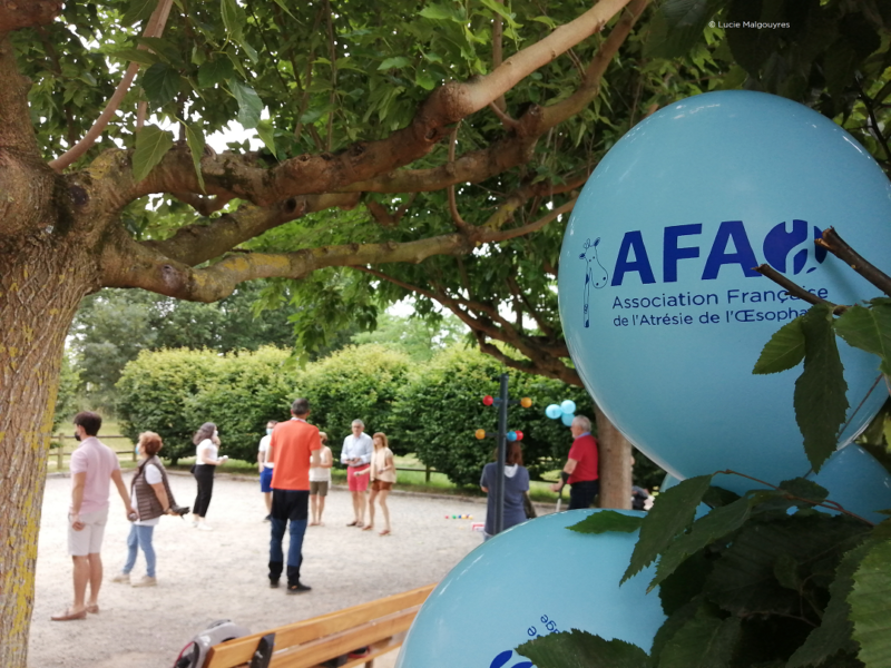 Témoignage des adhérents de l'AFAO